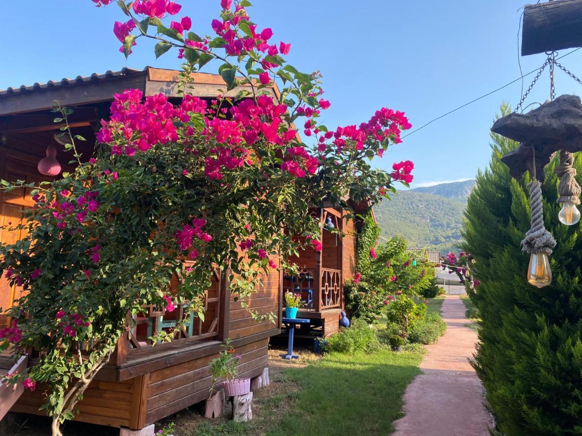 Karaoez Ada Bungalows & Villa Exterior foto