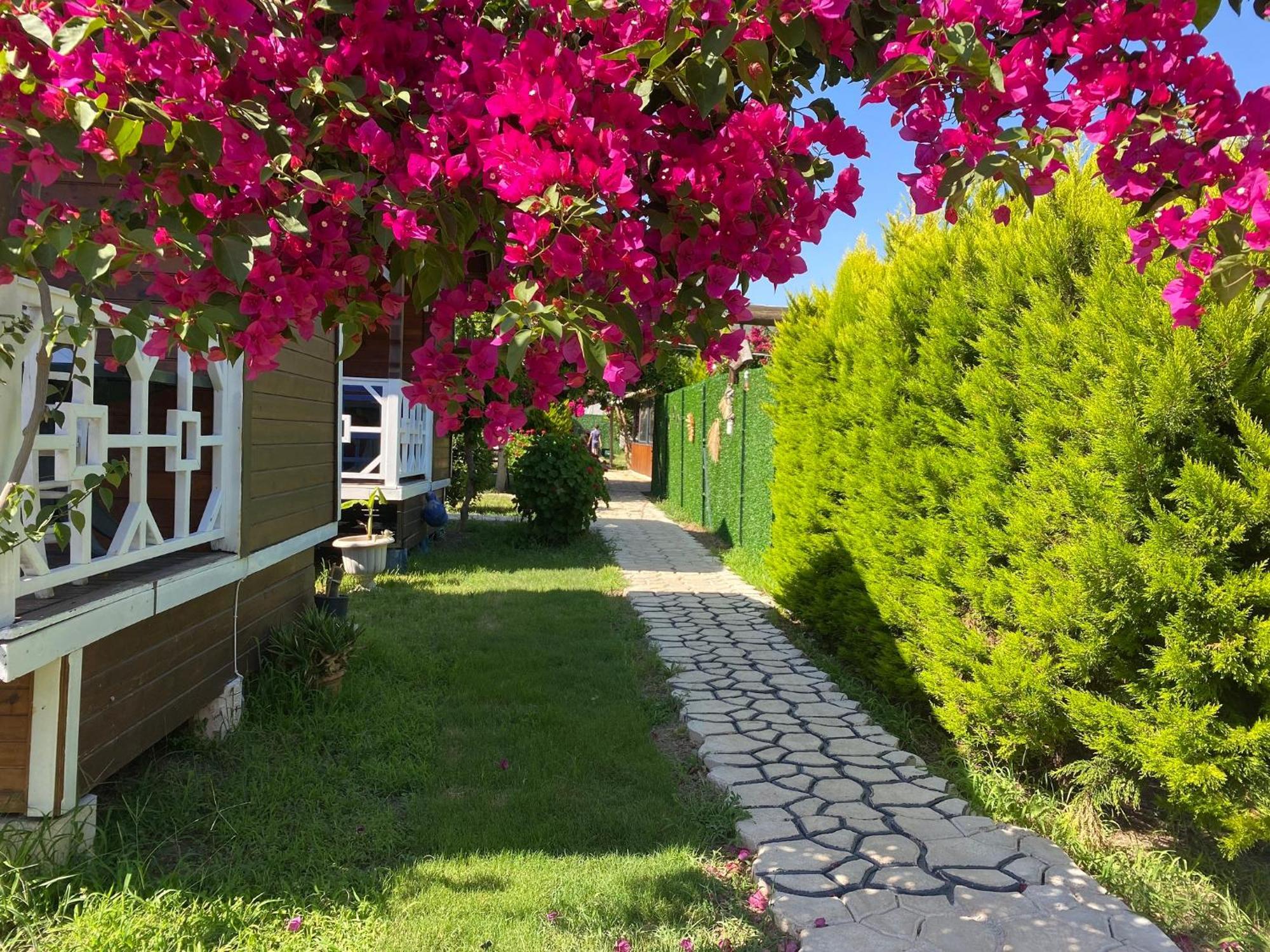 Karaoez Ada Bungalows & Villa Quarto foto